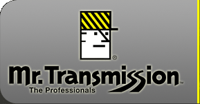 Mr. Transmission - The Professionals